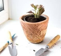 screen roller blinds